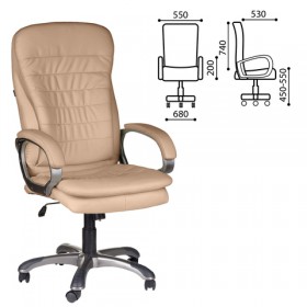 Кресло офисное BRABIX Omega EX-589 в Видном - vidnoe.katalogmebeli.com | фото
