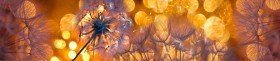 Кухонный фартук Мерцание Одуванчики золотистые 3 серебро в Видном - vidnoe.katalogmebeli.com | фото