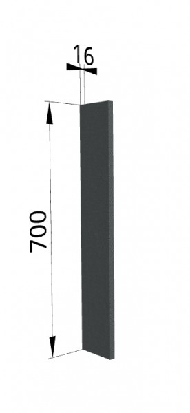 Панель торцевая ПТ 400 Квадро (для шкафа торцевого верхнего) Железо в Видном - vidnoe.katalogmebeli.com | фото