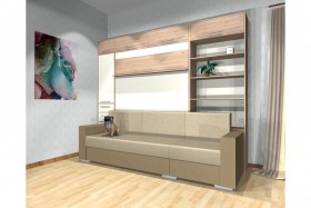 Шкаф-кровать с диваном Каролина в Видном - vidnoe.katalogmebeli.com | фото 4